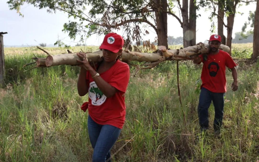 Abril Vermelho: MST ocupa fazenda em São Mateus como parte das ações da Jornada Nacional de Lutas