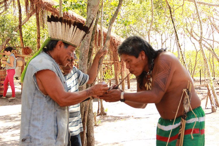 Terra sem mal: povo Guarani constrói nova aldeia em Aracruz
