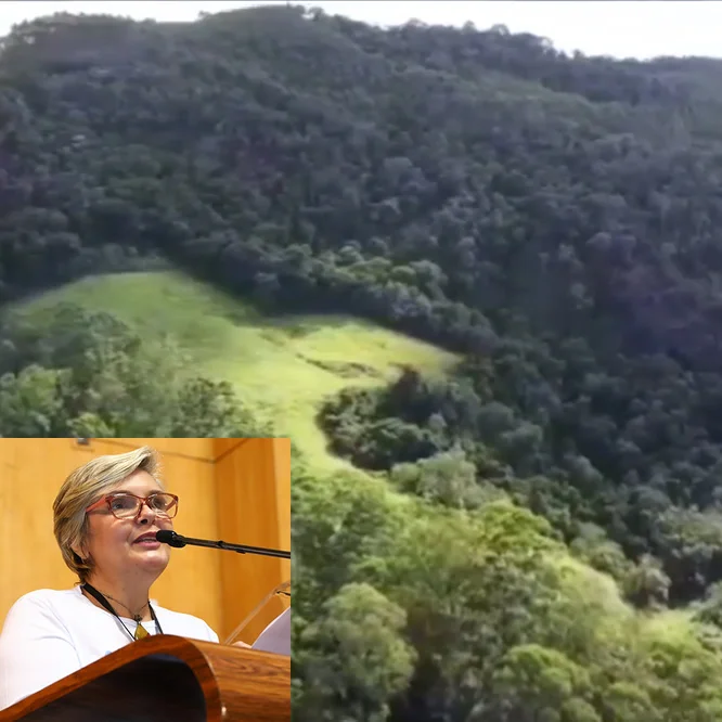 Bancária-ambientalista luta para salvar parque ecológico em Santa Teresa