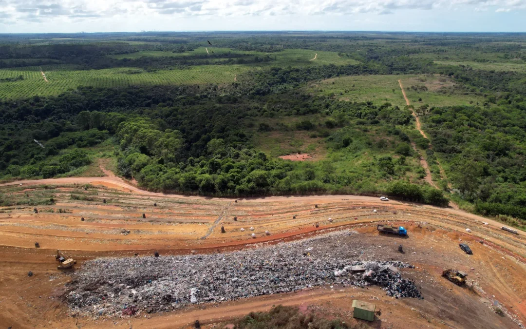 Indígenas Tupinikim e Guarani: uma história de luta contra o capitalismo