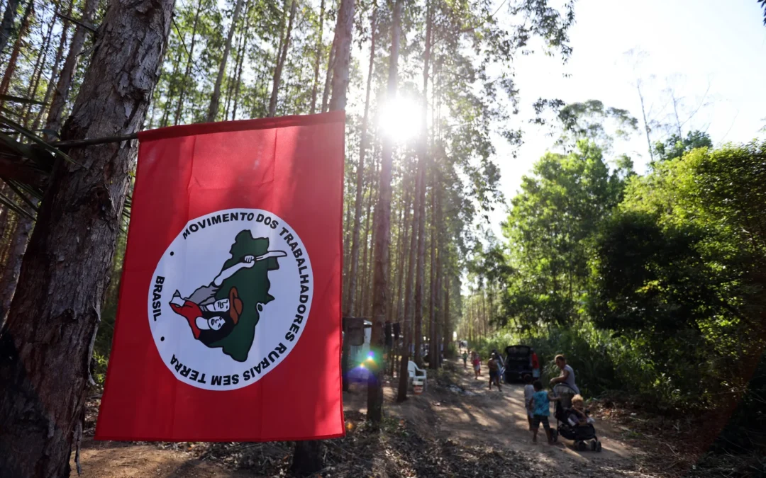 Trabalhadores sem terra travam luta por direito a área grilada