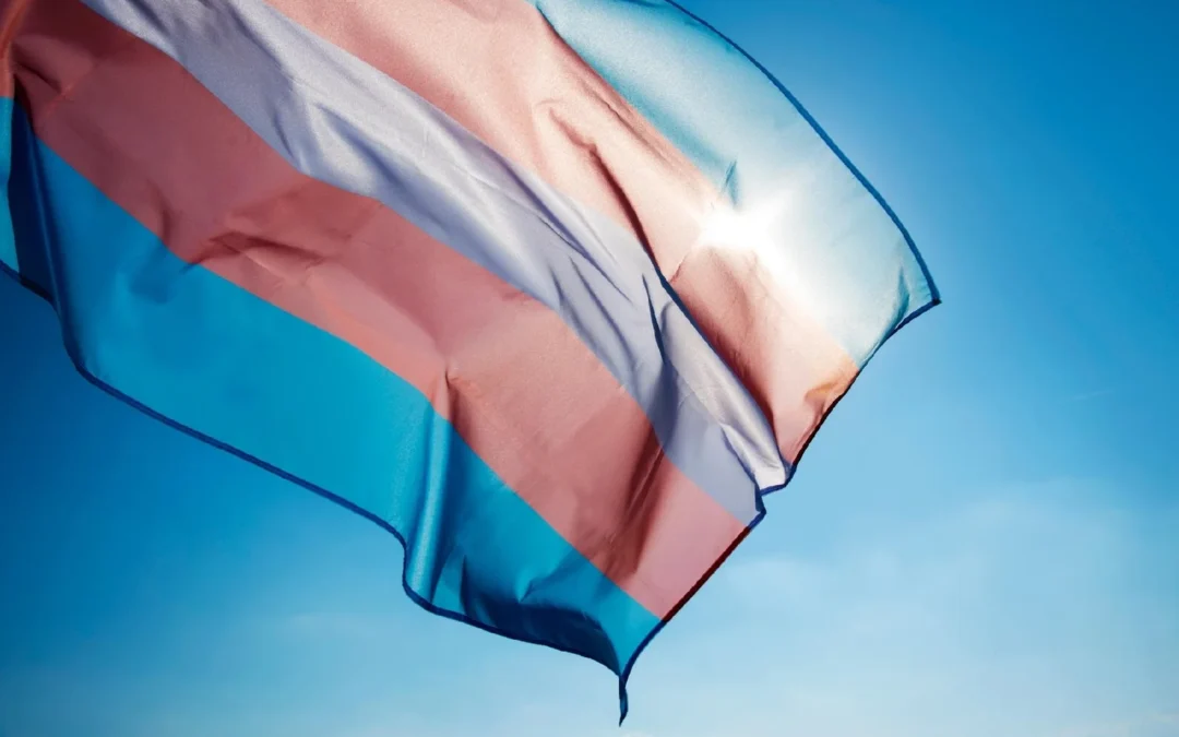 Visibilidade Trans: conheça histórias e obras de luta pela igualdade