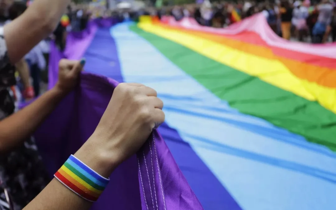 LGBTQIAPN+: hoje é dia de luta por diversidade e respeito
